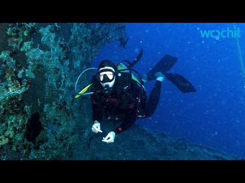 Deep Sea Treasure Diver Finds $1 Million In Gold