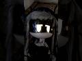 Annoying Cyn 1 0 Visor Test