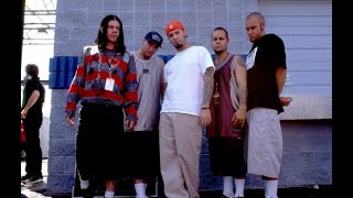Limp Bizkit - Leech (legendado)