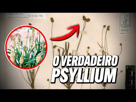 Assistir no YouTube