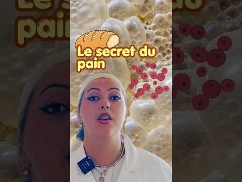 🍞Quel est le point commun entre un boulanger et un chercheur ? 🔬