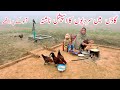Gaon Main Sardioun Ka Special Nashta II Aloo Ke Parathay II Happy Joint Family