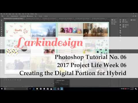 Photoshop Tutorial No. 06 | Creating the Digital Layout