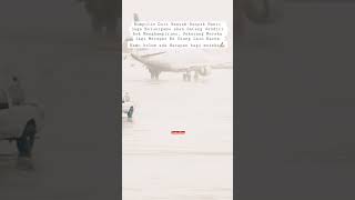 Download lagu Ada Gula Ada Semut #katakatabijak #shorts #youtubeshorts #statusvideo #motivasi  #quotes mp3