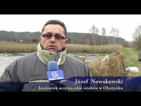 Sieja -ryba czystych wód