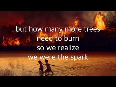 wake up call - slam poem for the Amazon rainforest