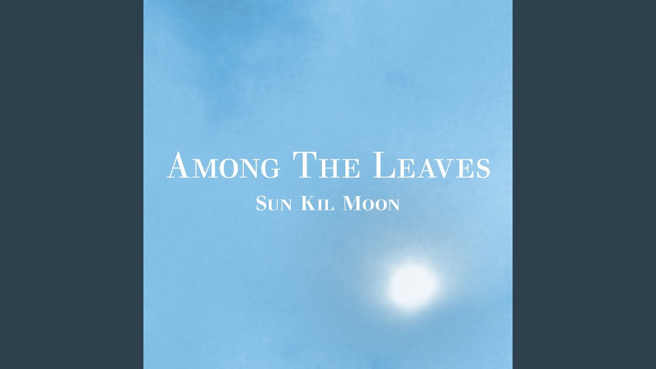 Sun Kil Moon - Among the Leaves