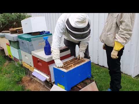 Utökning av avläggare