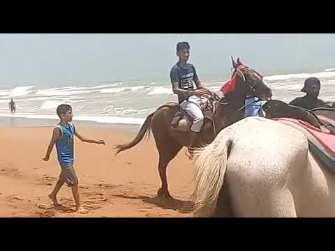 Naqi Horse riding