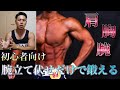 【腕立て伏せ最強説!】上半身をパワーアップしたい初心者の方、必見です!!