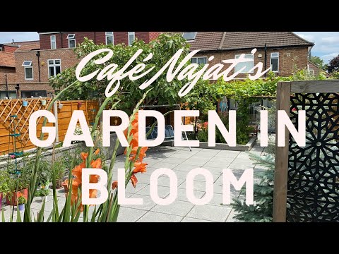 Café Najat’s garden in bloom