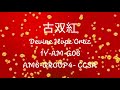 HAPPY NEW YEAR CHINESE SONG BY LITTLE FOX ACTIVITY 11 MY SOLO DANCE