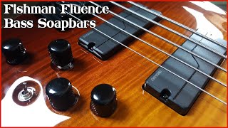 Video thumbnail for Fishman Fluence Bass Pickups - Demo and Review by Rodney McG