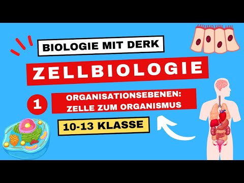 Zellbiologie | 1 | Organisationsebenen: Zelle zum Organismus | 10 - 13 Klasse