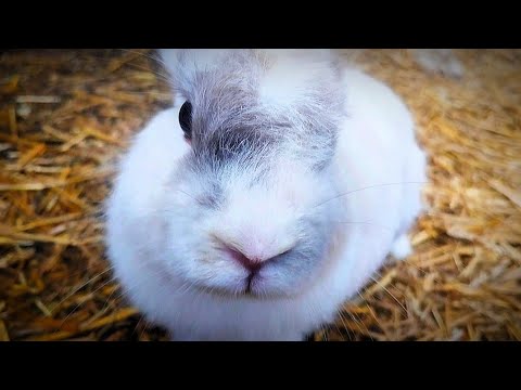 Bande annonce : Prise de bec #movie #action #film 