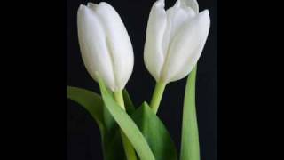 Hope - Bring Me Flowers [LYRICS]