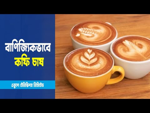 বাণিজ্যিকভাবে কফি চাষের সম্ভাবনা