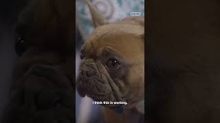 RIP Trappy (2015 - 2023): 2 Chainz’s Loyal Hype Man