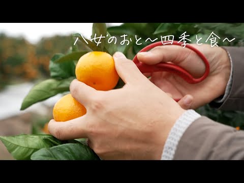 八女プロモーション動画 ～ 八女のおと ～ 四季と食
