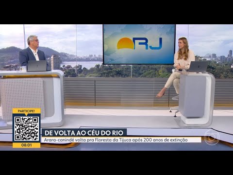 Araras-canindé no Bom Dia Rio