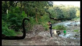 Download lagu Nostalgia Gentabuana Misteri Ilahi Misteri Dua Dunia Sulis mp3