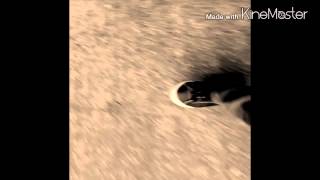 Rogue Wave&#39;s &quot;Every Moment&quot; (Live)