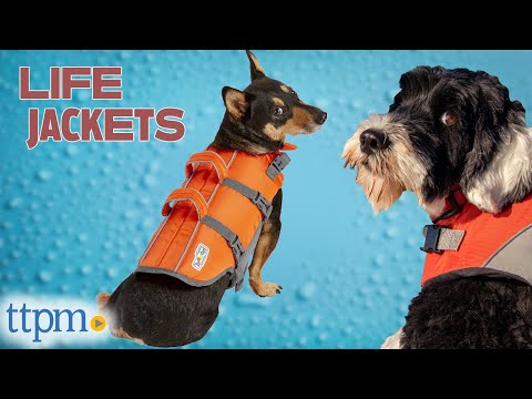 Which Life Jacket For Dogs is ACTUALLY the Best? (We Tested Them All) | TTPM Pet Review