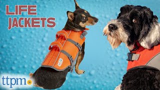 Which Life Jacket For Dogs is ACTUALLY the Best? (We Tested