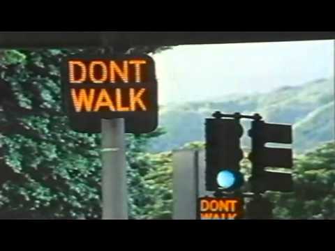 Sare Havlicek - Diamondback Part 5 (Single version) [Official Video]