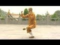 Shaolin Kung Fu Combat Styles: 15. small Buddha form (小罗汉拳: xiao luohan quan)