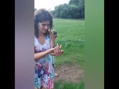 [Arkadiusz Kot] Jeszcze więcej Światła w Gościcinie ?