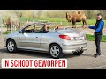 Zo kreeg Peugeot de 206 CC cadeau | Sjoerds Weetjes 347
