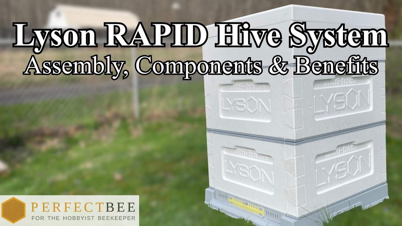 Inside the Lyson RAPID Hive: Assembly, Components & Benefits