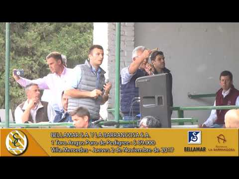 02-11-17 Venta de Toros Angus P.P. - Bellamar S.A. y La Barrancosa S.A. - Villa Mercedes
