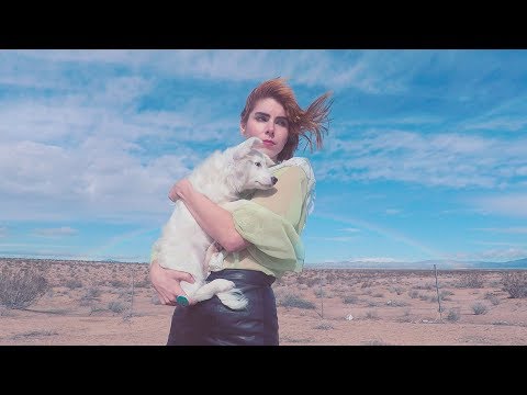 Ziemba - I Built Utopia, It Became a Nightmare