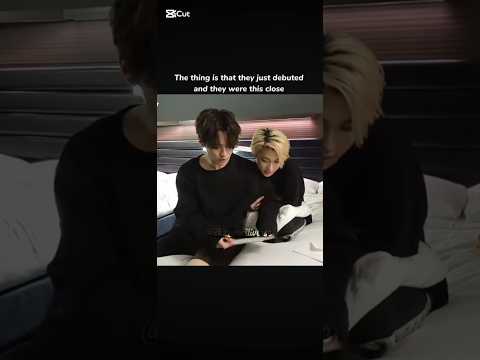 Amount of cuteness aggression I get 🥺❤️ #straykids #skz #leeknow #felix #fyp #viral