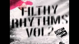 Various Artists - Filthy Rhythms Vol2 [Drum and Bass] [SECTION8FILTH002D]