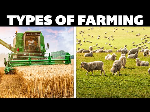 , title : 'All Types Of Farming Explained'