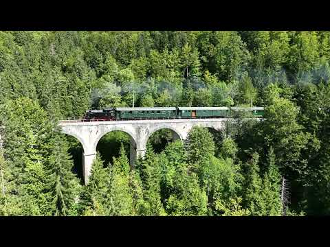 train à vapeur (VVT) sur le viaduc de la ligne Neuchâtel Pontarlier