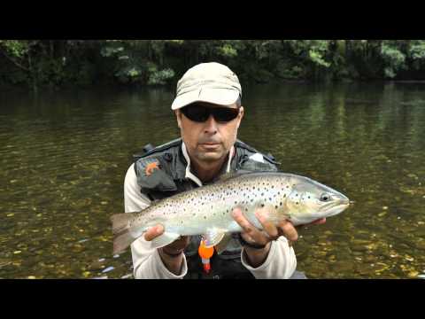 Asturias sea trout on the dry fly