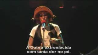 rita lee - o bode e a cabra