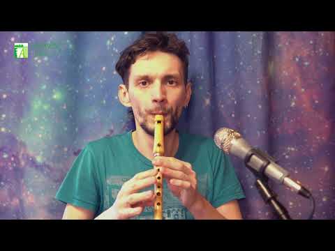 Whistle D ashwood - HarmonyFlute