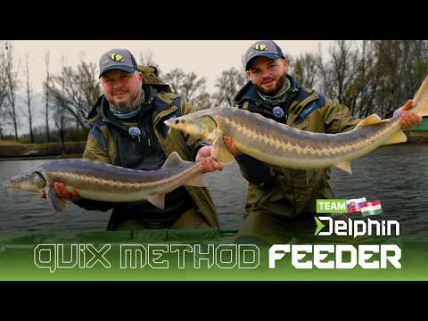 Koszyczek Delphin Method Quix - L 60g film wideo