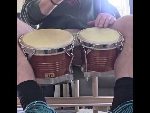 LP Palisades Park Bongos Mahogany image 4