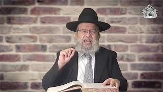 דף היומי בחצי שעה - פסחים דף ל"ח