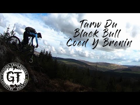Coed y Brenin summer '24 - watch on YouTube