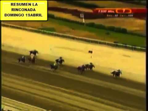 RESUMEN LA RINCONADA DOMINGO 19 ABRIL 2015