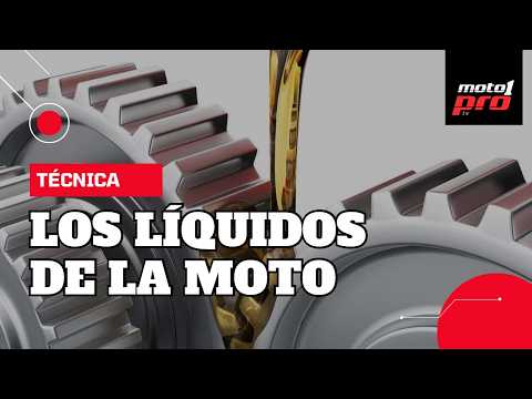 Video de YouTube
