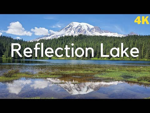image-Why should you visit the Mount Rainier region?