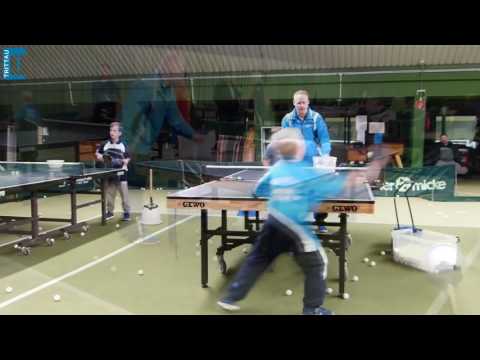 Tischtennis Training beim TSV Trittau